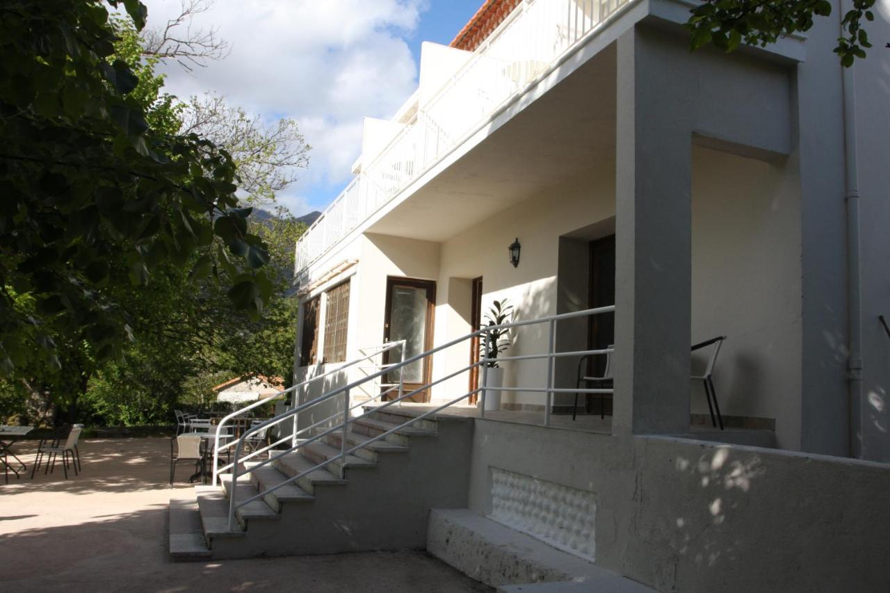 1er Consul Bed & Breakfast Bocognano Exterior foto