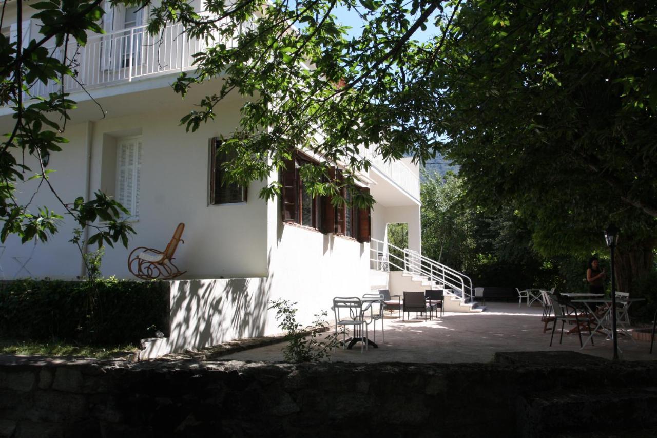 1er Consul Bed & Breakfast Bocognano Exterior foto