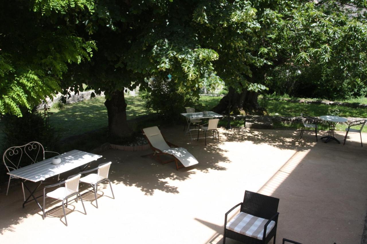 1er Consul Bed & Breakfast Bocognano Exterior foto