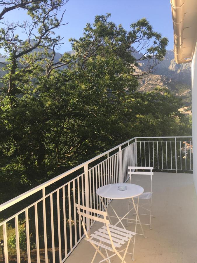 1er Consul Bed & Breakfast Bocognano Exterior foto