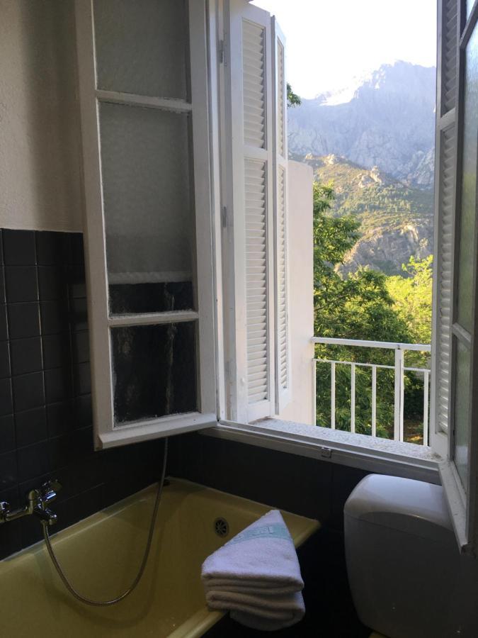 1er Consul Bed & Breakfast Bocognano Exterior foto