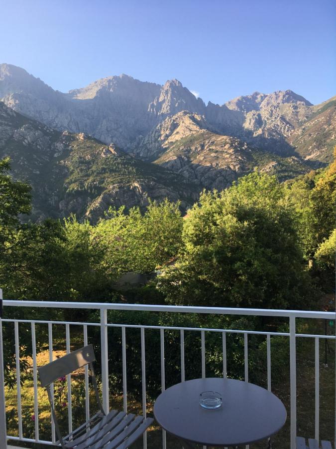 1er Consul Bed & Breakfast Bocognano Exterior foto