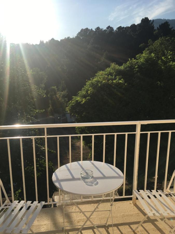 1er Consul Bed & Breakfast Bocognano Exterior foto