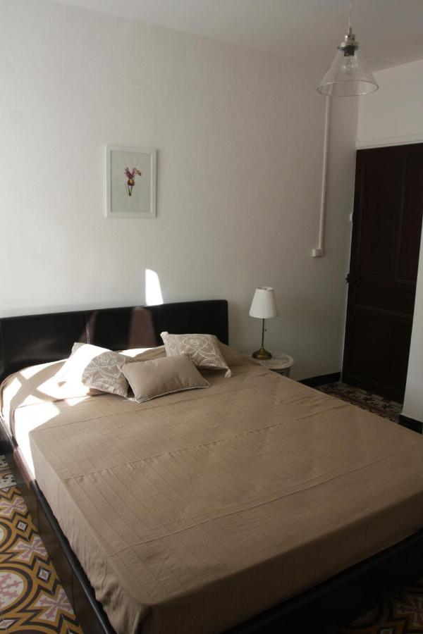 1er Consul Bed & Breakfast Bocognano Exterior foto